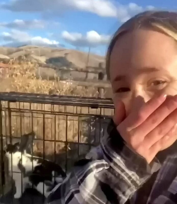 Woman Rabbit Dispatch Young woman spends four days outside in the frost gaining the trust of ...