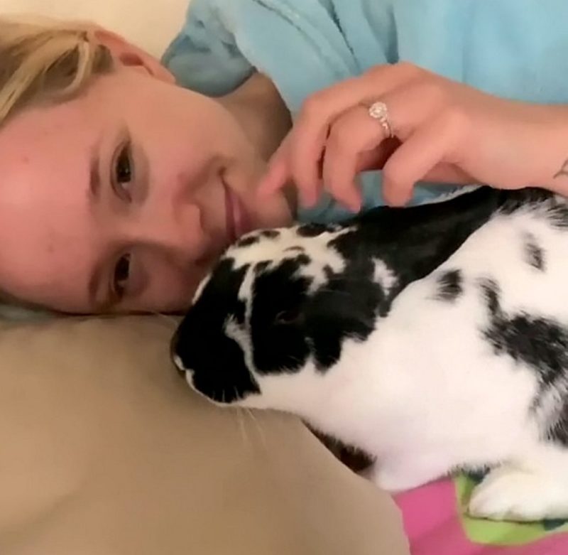 Woman Rabbit Dispatch Young woman spends four days outside in the frost gaining the trust of ...