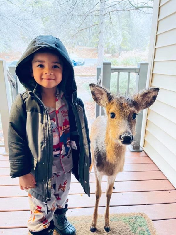 Kid Riding A Deer During a family vacation, a boy goes out to play and later brings home ...